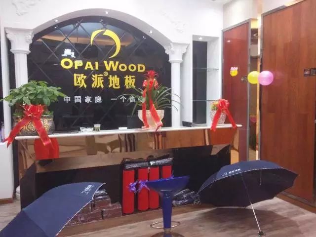 讓夢(mèng)想起航—?dú)W派地板圓夢(mèng)助學(xué)貴州行站