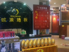 河南安陽歐派地板加盟店