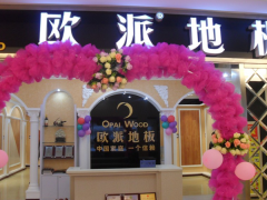 山東萊陽歐派地板專賣店11.18特惠活動