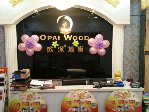安徽碭山歐派地板315活動