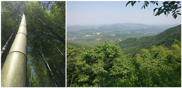 歐派地板2017年拓展活動(dòng)