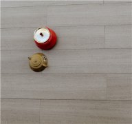 GX-6302精品實木地板