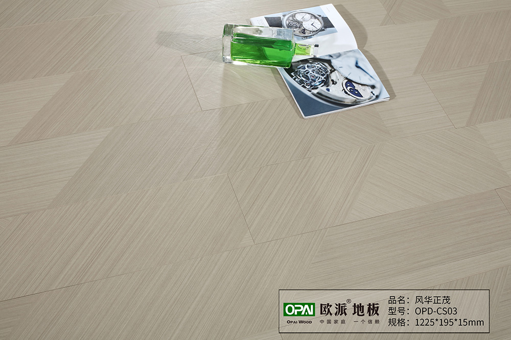 OPD-CS03風華正茂